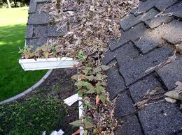 gutter-guards-fishers-carmel-cicero-noblesville-in-indiana